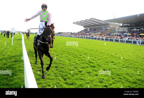 burrows saint horse
